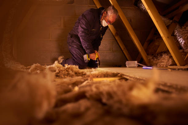 Best Attic Insulation Installation  in Edmore, MI